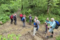 amberieu_07_05_26_17