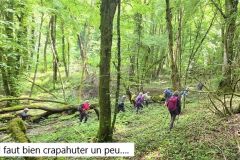 amberieu_07_05_26_5