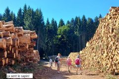 aranc._07_08_25_22