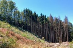 aranc._07_08_25_28