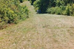 aranc._07_08_25_29