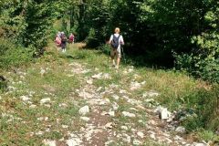 aranc._07_08_25_32