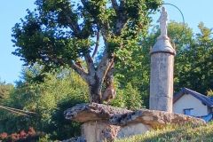 aranc._07_08_25_5