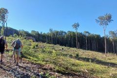 aranc._07_08_25_6
