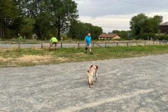avenass_20_08_26_1