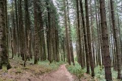 avenass_20_08_26_16