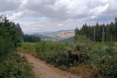avenass_20_08_26_17