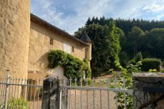 avenass_20_08_26_5