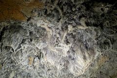 balanod_21_05_26_8