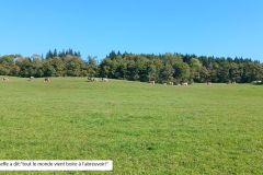 berthiand_03_10_25_15