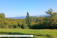 berthiand_03_10_25_17