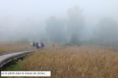 berthiand_03_10_25_25