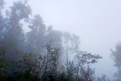 berthiand_03_10_25_26