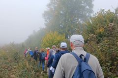 berthiand_03_10_25_27