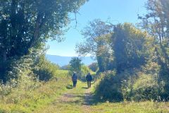 berthiand_03_10_25_34