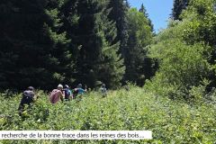 brenod_02_07_26_16