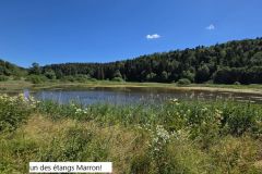 brenod_02_07_26_19