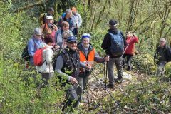 chavannes_02_02_26_11