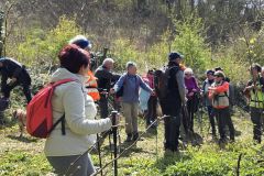 chavannes_02_02_26_12