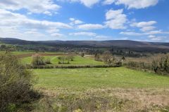 chavannes_02_02_26_13