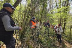 chavannes_02_02_26_14