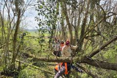 chavannes_02_02_26_16