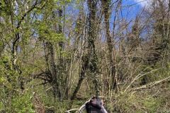 chavannes_02_02_26_17