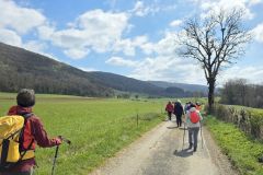 chavannes_02_02_26_19