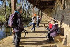 chavannes_02_02_26_2