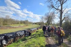 chavannes_02_02_26_3