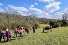 chavannes_02_02_26_4