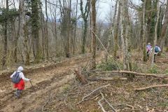 colfrance_05_02_26_11