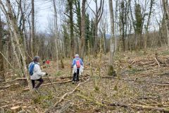 colfrance_05_02_26_12