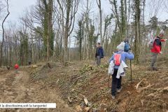 colfrance_05_02_26_13