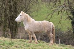 colfrance_05_02_26_16