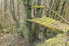 colfrance_05_02_26_19