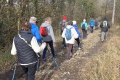 colfrance_05_02_26_20