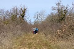 colfrance_05_02_26_21