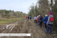 colfrance_05_02_26_22