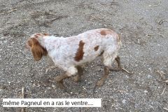 colfrance_05_02_26_3