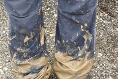 colfrance_05_02_26_6