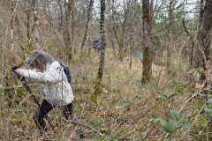 colfrance_05_02_26_8