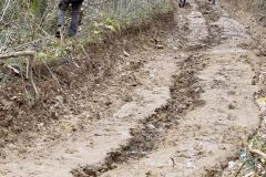 colfrance_05_02_26_9