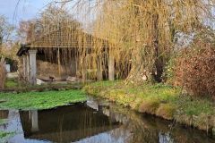 condeiss_22_01_26_13