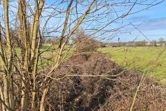 condeiss_22_01_26_17