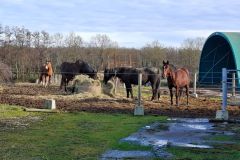 condeiss_22_01_26_18