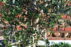 condeiss_22_01_26_20