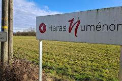 condeiss_22_01_26_22