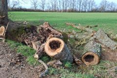 condeiss_22_01_26_25