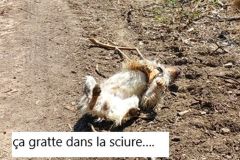 cuiseaux_15_05_25_29